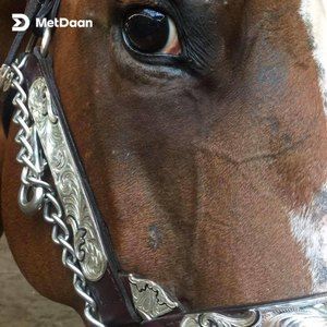 Meet your Posher, Deb